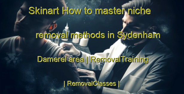 Skinart How to master niche removal methods in Sydenham Damerel area | RemovalTraining | RemovalClasses | SkinartTraining-United Kingdom